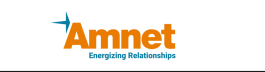 Amnet Systems Private Limited logo